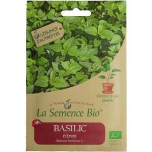 semence-basilic-citron-bio