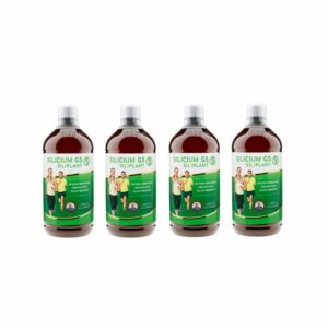 4 bouteilles Silicium G5 Siliplant de 1 litre