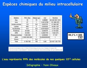 L'eau représente 99% des molécules de nos cellules