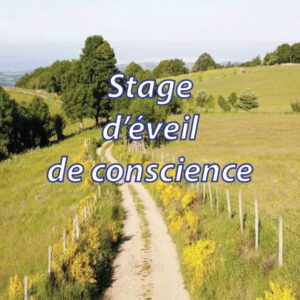 Stage-d-eveil-de-conscience