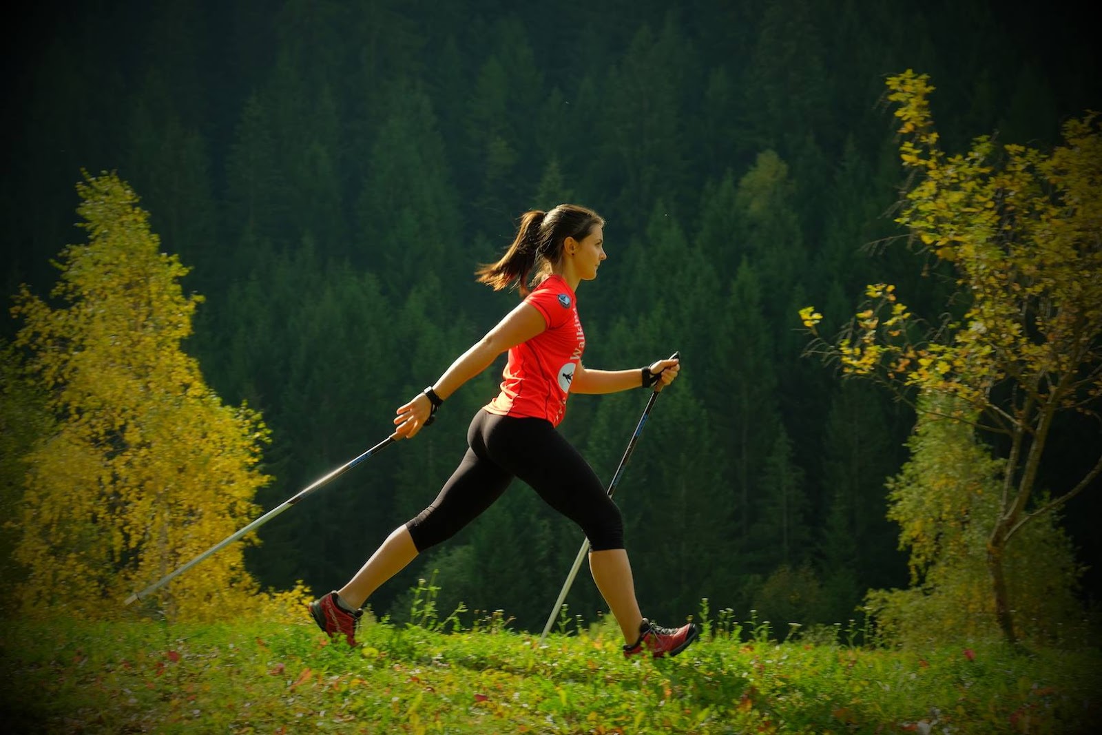 La marche ou l'activité physique, le premier des médicaments