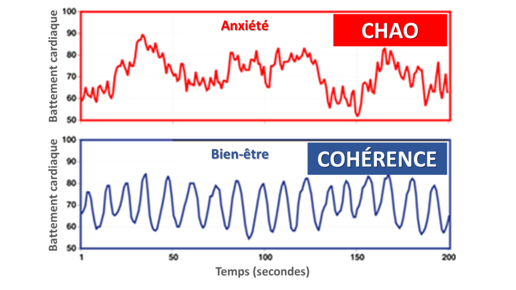 chaos-coherence