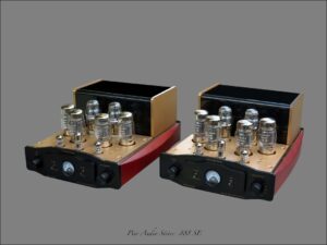 pier-audio-amplis-puissance-mono-888-se