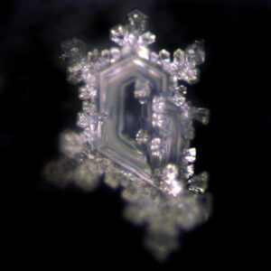 Carafe dynamisante Delicate à fleur de vie Gold-Crystal